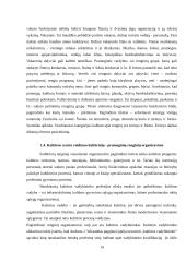 Renginių rinkodaros organizavimo ypatumai Trakų kultūros rūmuose 14 puslapis