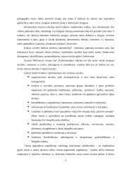 Renginių rinkodaros organizavimo ypatumai Trakų kultūros rūmuose 9 puslapis