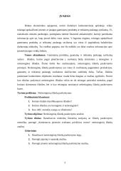 Netiesioginių išlaidų paskirstymo analizė