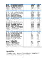 Netiesioginių išlaidų paskirstymo analizė 16 puslapis