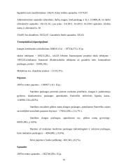 Netiesioginių išlaidų paskirstymo analizė 17 puslapis