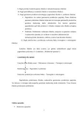 Netiesioginių išlaidų paskirstymo analizė 5 puslapis