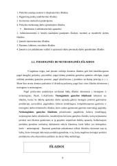 Netiesioginių išlaidų paskirstymo analizė 6 puslapis