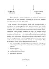 Netiesioginių išlaidų paskirstymo analizė 7 puslapis