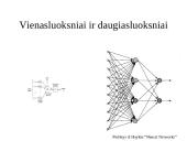 Dirbtiniai neuroniniai tinklai (ir įvadas į klasifikavimą) 18 puslapis