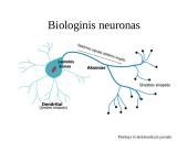 Dirbtiniai neuroniniai tinklai (ir įvadas į klasifikavimą) 9 puslapis