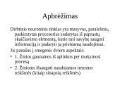 Dirbtiniai neuroniniai tinklai (ir įvadas į klasifikavimą) 10 puslapis