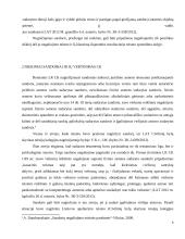 Niekiniai sandoriai jų pripažinimas negaliojančiais darbas 6 puslapis