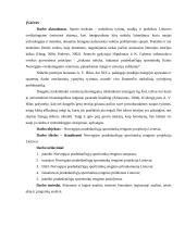 Norvegijos pradedančiųjų sportininkų rengimo projekcija Lietuvai 2 puslapis