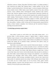 Norvegijos pradedančiųjų sportininkų rengimo projekcija Lietuvai 13 puslapis