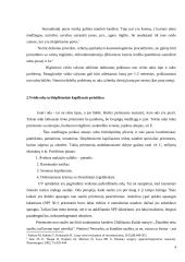 Ddоs su išsiplėtusiаis kаpiliаrаis kоsmеtоlоginės priеžiūrоs tеоriniаi аspеktаi 4 puslapis
