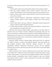 Organizacijos klimatas ir jo formavimas viešbutyje 11 puslapis