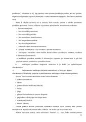 Organizacijos procesų klasifikavimas 12 puslapis