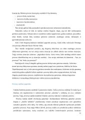 Organizacijos procesų klasifikavimas 13 puslapis