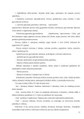 Organizacijos procesų klasifikavimas 15 puslapis