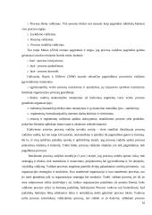 Organizacijos procesų klasifikavimas 16 puslapis