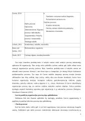 Organizacijos procesų klasifikavimas 4 puslapis