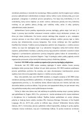 Organizacijos procesų klasifikavimas 8 puslapis