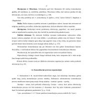 Organizacijos samprata valdyme 14 puslapis