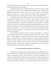 Organizacijos samprata valdyme 16 puslapis