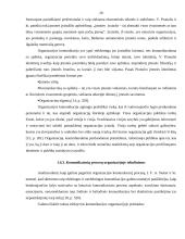 Organizacijos samprata valdyme 17 puslapis