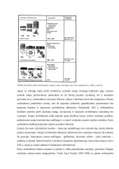 Biuro architektūra 11 puslapis