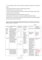 Biuro architektūra 19 puslapis