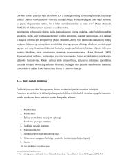 Biuro architektūra 7 puslapis