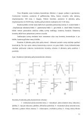 Naujos gilinimo darbų technologijos 11 puslapis