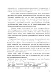 Naujos gilinimo darbų technologijos 12 puslapis