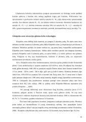 Naujos gilinimo darbų technologijos 10 puslapis