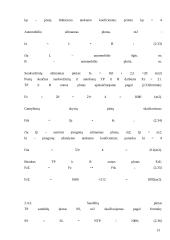 UAB „Agrotech“ serviso išplėtimo projektavimas 12 puslapis