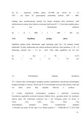 UAB „Agrotech“ serviso išplėtimo projektavimas 13 puslapis