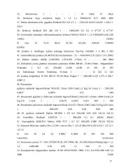 UAB „Agrotech“ serviso išplėtimo projektavimas 16 puslapis