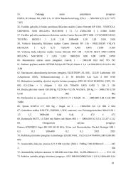 UAB „Agrotech“ serviso išplėtimo projektavimas 17 puslapis