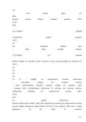 UAB „Agrotech“ serviso išplėtimo projektavimas 19 puslapis