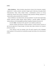 UAB „Agrotech“ serviso išplėtimo projektavimas 3 puslapis