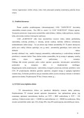 UAB „Agrotech“ serviso išplėtimo projektavimas 7 puslapis