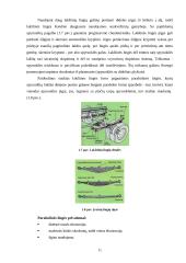 Pakabų charakteristikų įtaka automobilio važiavimo tolygumui 11 puslapis