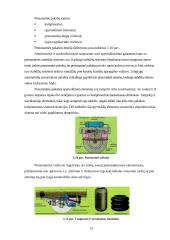 Pakabų charakteristikų įtaka automobilio važiavimo tolygumui 13 puslapis