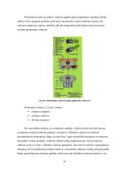 Pakabų charakteristikų įtaka automobilio važiavimo tolygumui 14 puslapis