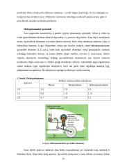 Pakabų charakteristikų įtaka automobilio važiavimo tolygumui 15 puslapis