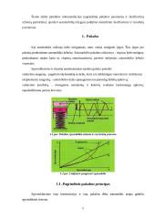 Pakabų charakteristikų įtaka automobilio važiavimo tolygumui 5 puslapis