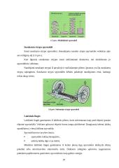 Pakabų charakteristikų įtaka automobilio važiavimo tolygumui 10 puslapis