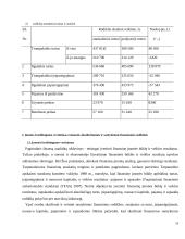 Įmonių kreditingumo vertinimas komerciniuose bankuose 18 puslapis
