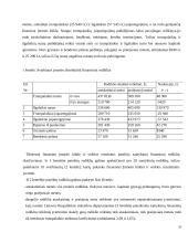Įmonių kreditingumo vertinimas komerciniuose bankuose 20 puslapis