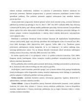 Įmonių kreditingumo vertinimas komerciniuose bankuose 3 puslapis