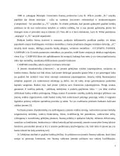 Įmonių kreditingumo vertinimas komerciniuose bankuose 6 puslapis