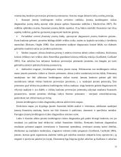 Įmonių kreditingumo vertinimas komerciniuose bankuose 10 puslapis