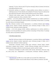 Optimizuotų informacinių technologijų incidentų valdymo sistemos 13 puslapis